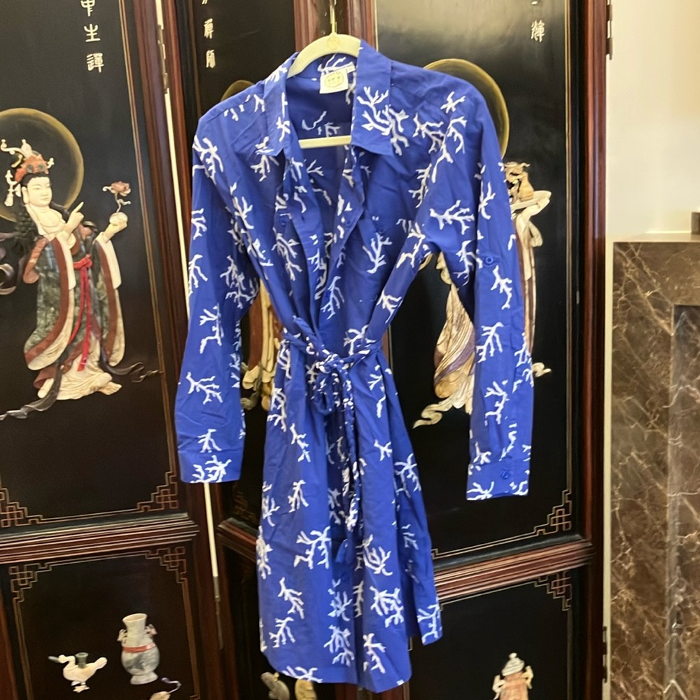 Blue and White Women's button-down dress